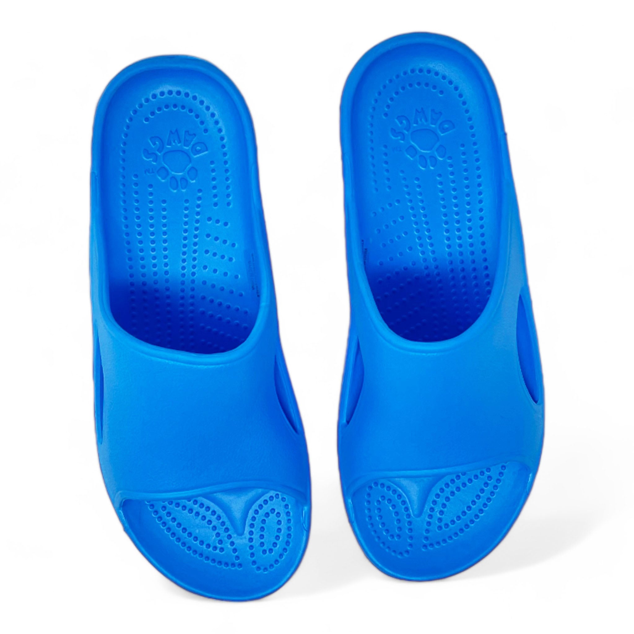 Women's Slides - Peacock